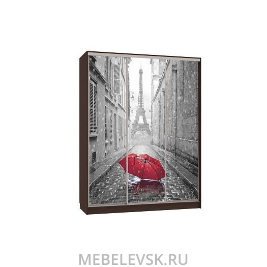 Шкаф-купе Бассо 7-600 08