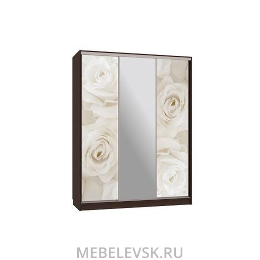 Шкаф-купе Бассо 10-600 розы