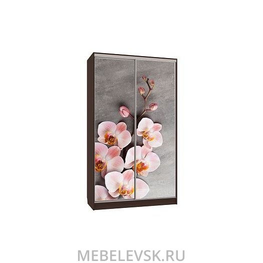 Шкаф-купе Рио 7-600 78, (120х600х2310)