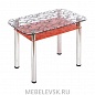 Стол обеденный с полкой (3.4 ДП28 прозрачный красный). Изображение 1
