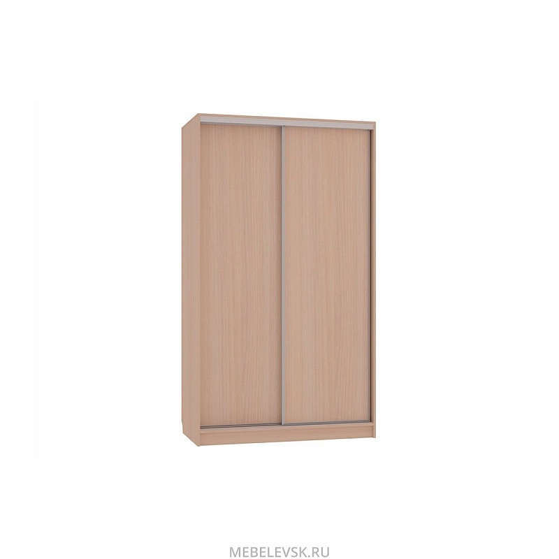 Шкаф-купе Рио 5-600, (1200х600х2310)