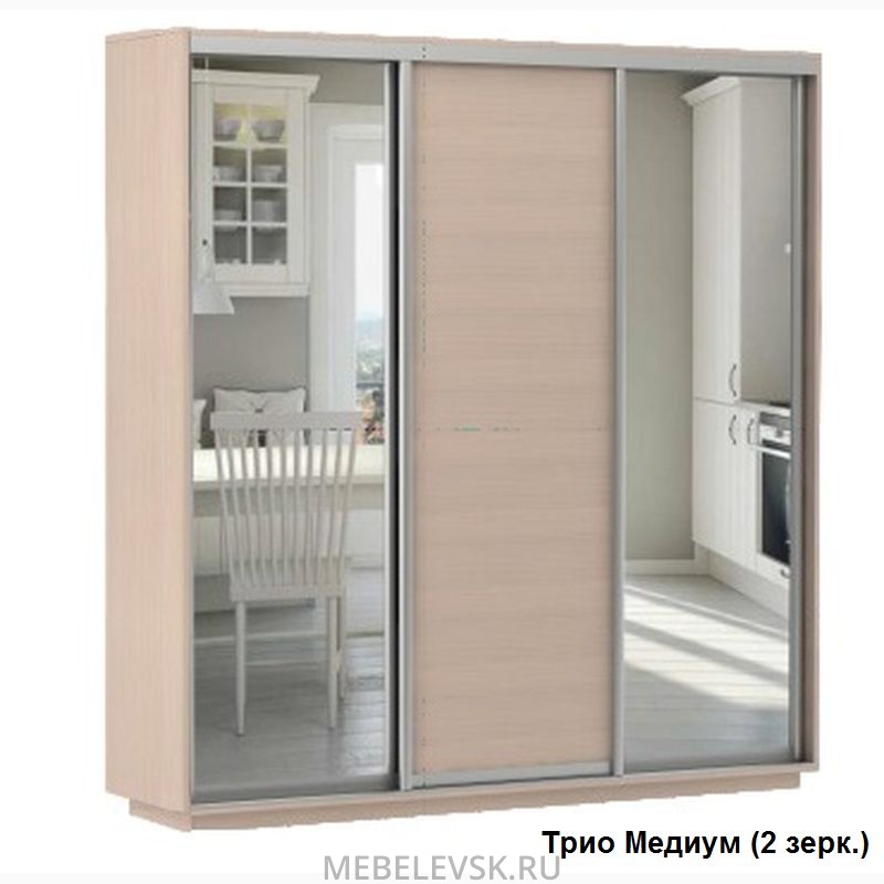 Шкаф-купе "Трио". Изображение 1